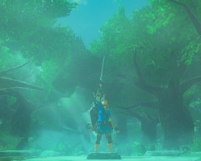 ゼルダの伝説 ブレス オブ ザ ワイルド