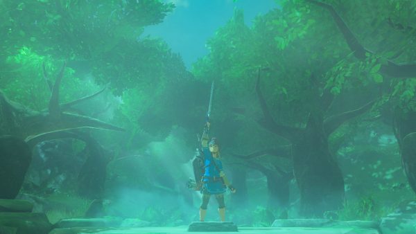 ゼルダの伝説 ブレス オブ ザ ワイルド